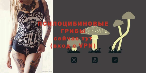 сатива Алексин