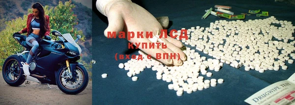 спайс Алзамай