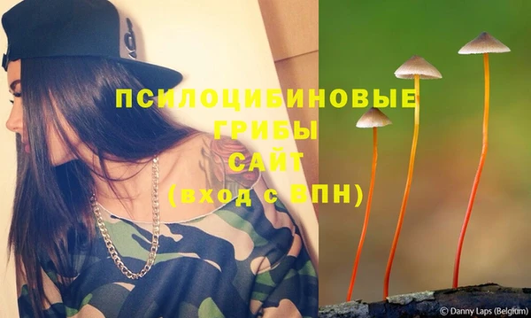 винт Сатка