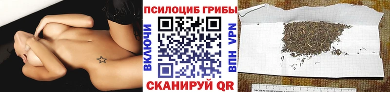 купить закладку  Гаджиево  Галлюциногенные грибы ЛСД 