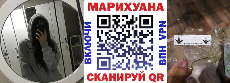 купить цена Гаджиево Каннабис конопля